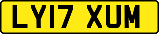 LY17XUM