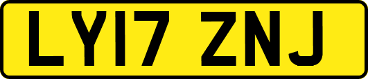 LY17ZNJ