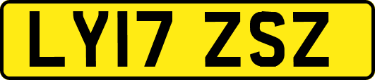 LY17ZSZ