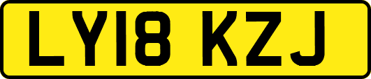 LY18KZJ