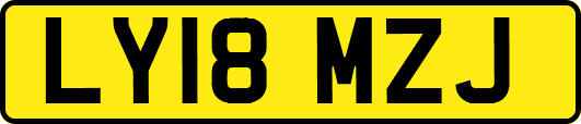 LY18MZJ
