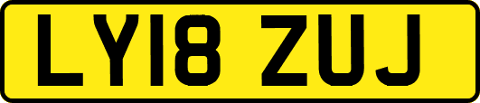 LY18ZUJ