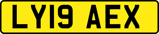 LY19AEX