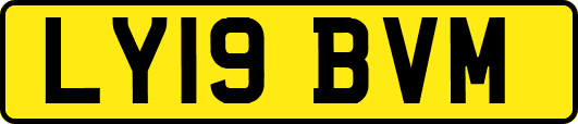 LY19BVM