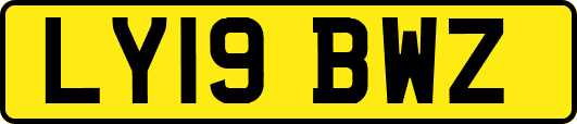 LY19BWZ