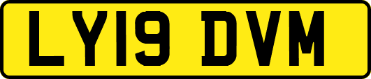 LY19DVM
