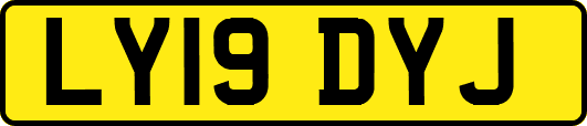 LY19DYJ
