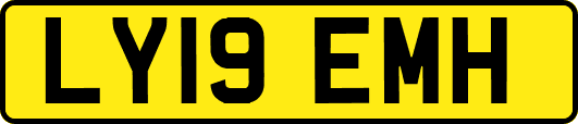 LY19EMH
