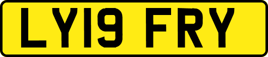 LY19FRY