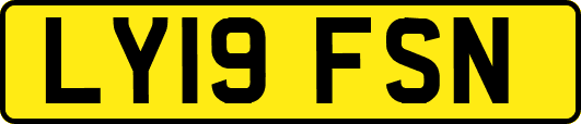 LY19FSN