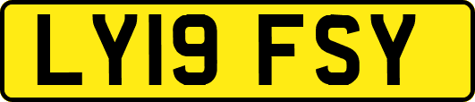 LY19FSY