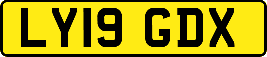 LY19GDX