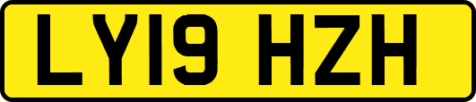 LY19HZH