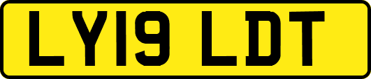 LY19LDT