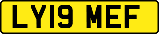LY19MEF