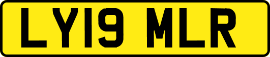 LY19MLR