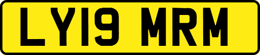 LY19MRM