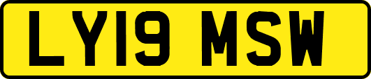 LY19MSW