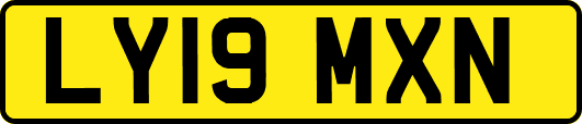 LY19MXN
