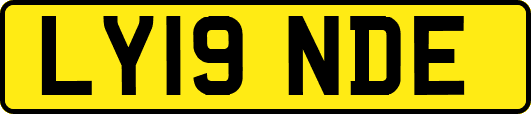 LY19NDE