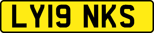 LY19NKS
