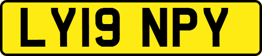 LY19NPY