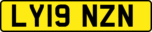 LY19NZN