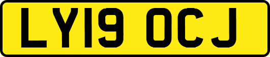 LY19OCJ