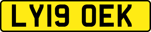 LY19OEK