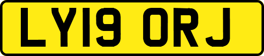 LY19ORJ