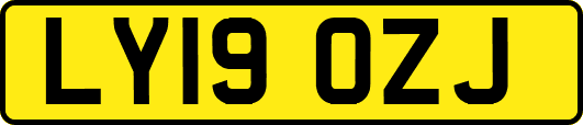 LY19OZJ