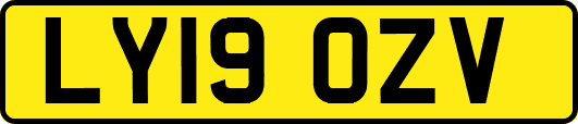 LY19OZV