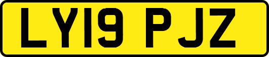 LY19PJZ