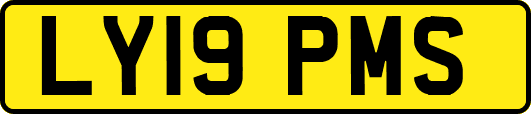 LY19PMS