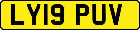 LY19PUV