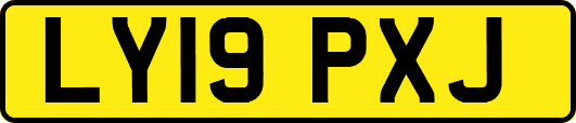 LY19PXJ