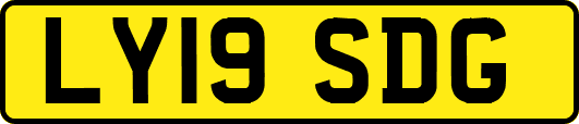 LY19SDG