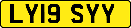 LY19SYY