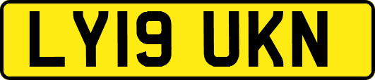 LY19UKN