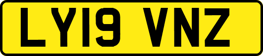 LY19VNZ