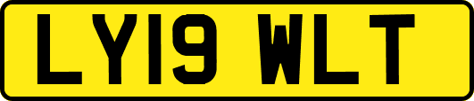 LY19WLT