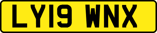 LY19WNX