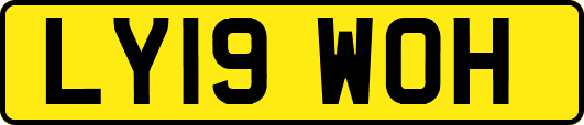 LY19WOH