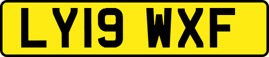 LY19WXF