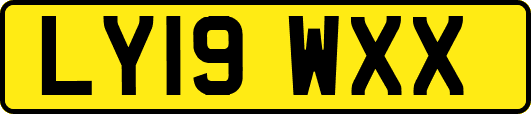 LY19WXX