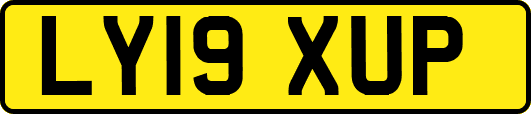 LY19XUP