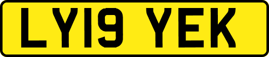 LY19YEK