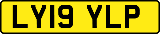 LY19YLP