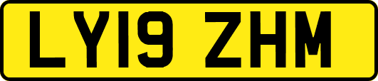 LY19ZHM