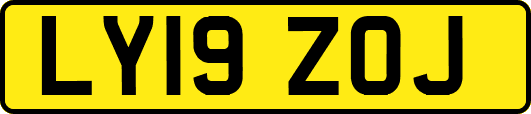 LY19ZOJ